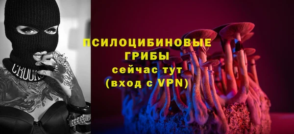 МДПВ Волосово