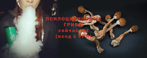МДПВ Волосово