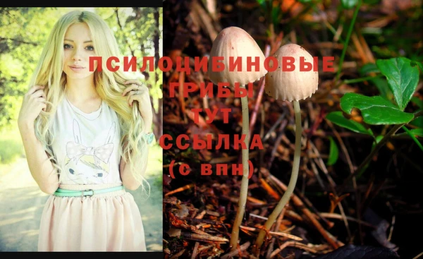 меф Володарск
