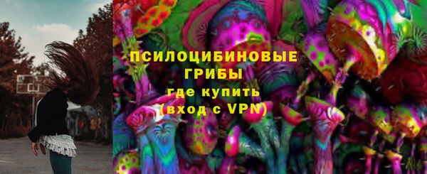 мдпв Волоколамск