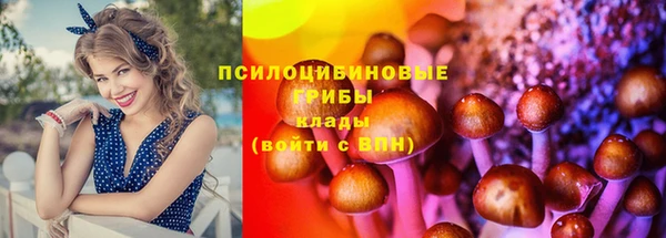 мдпв Волоколамск